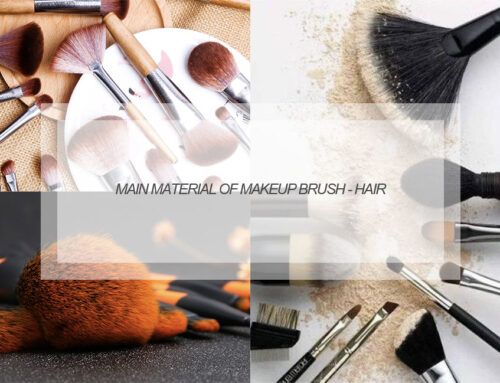 Main material of Makeup Brush – Hair & Bristles